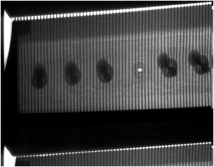 水泥廠用斗提機(jī)檢測(cè)裝置(圖6) 2-220302144916226.jpg